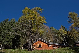 高山小屋,立面熔,瓦