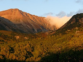 山,湖,森林