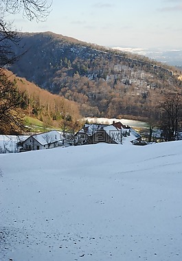 寒冬,barmelhof,erlinsbach