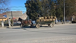 歐洲,旅行,羅馬尼亞