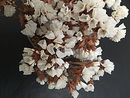 干花,人工,小花朵