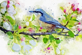 彈簧鳥,鳥,春