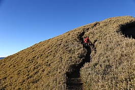 小孩,山水,登山