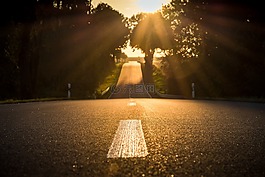 路,日落,背光