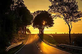 路,日落,背光