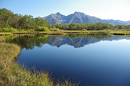 森林湖,山,森林