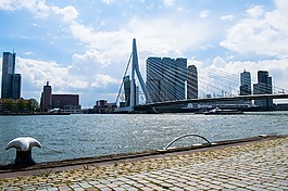 鹿特丹,橋,結(jié)構(gòu)
