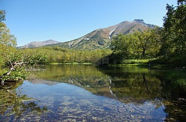 森林湖,山,森林