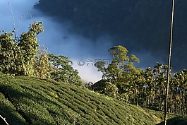 風(fēng)景,山水,雲(yún)海