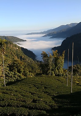 風(fēng)景,山水,雲(yún)海