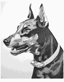 狗,獵犬,動物