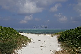 開曼群島,島,沙