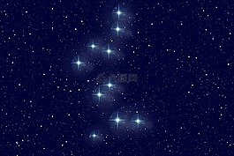 承担监护人,明星,星座