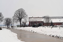 景观,wieke,雪
