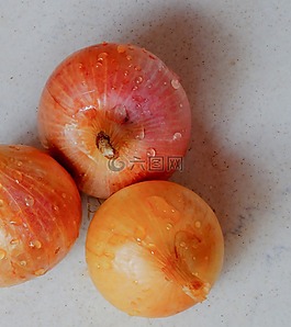蔥,印度,蔬菜