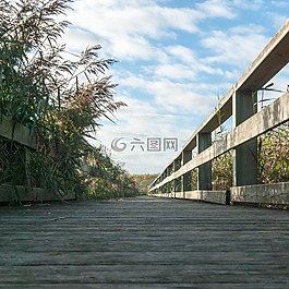 景觀,橋,天空