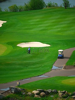 高爾夫,綠色,購物車