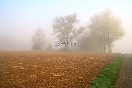 霧,景觀,心情