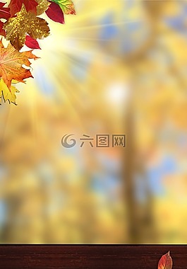 秋天,葉子,秋天樹葉