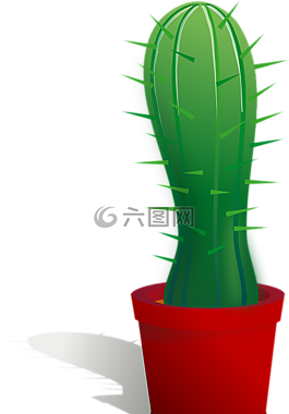 仙人掌,植物,荊棘