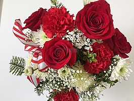 鮮花,玫瑰,愛(ài)