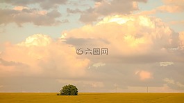 字段,布什,云