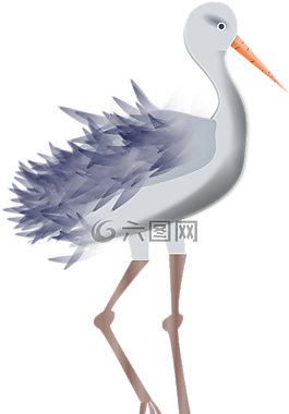 鸛,動(dòng)物,鳥(niǎo)