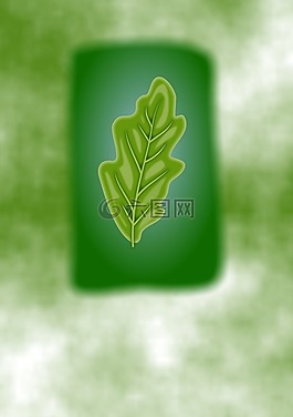 植物,自然,植物學