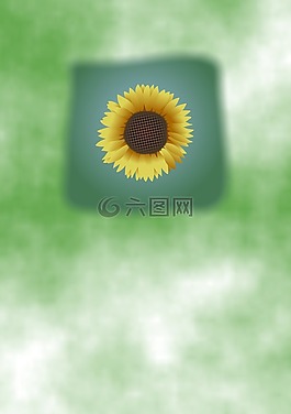植物,自然,植物學(xué)