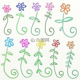 植物,自然,植物學(xué)
