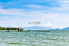 飼料,海關,是