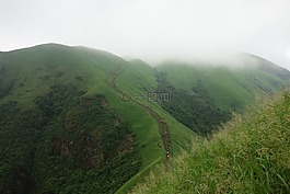 武功山,云雾,植被