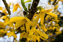 冬季高爐,雪,弗羅斯特
