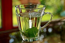 薄荷茶,t恤,薄荷