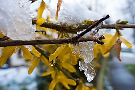 冬季高爐,雪,熱熔膠