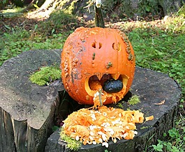 萬圣節(jié),杰克o'lantern,南瓜