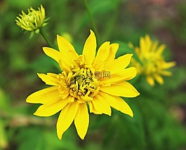 宏,性質(zhì),細(xì)節(jié)