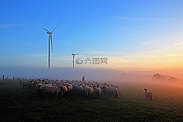 羊群的羊,牧羊人的浪漫,abendstimmung