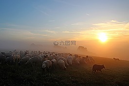 羊群的羊,牧羊人的浪漫,abendstimmung
