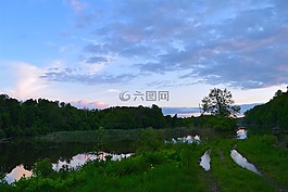 樹(shù),湖,日落