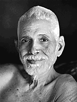 導師,印度,男子