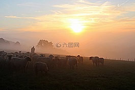 · 舍費(fèi)爾,羊群的羊,牧羊人的浪漫