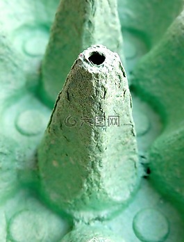 鸡蛋盒,纸板,纸