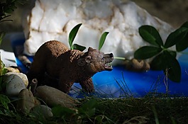動物,玩具,靜物