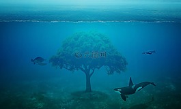 海洋,樹,幻想