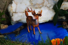 動物,玩具,靜物