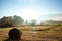 秋季,阿爾高,霧