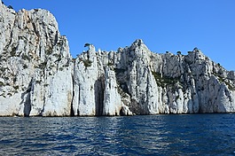 calanques 的黑醋栗,懸崖,法國南部