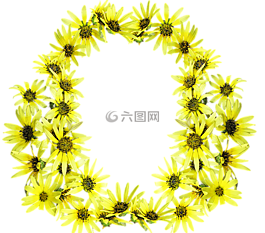 雏菊,黄色的设计,帧