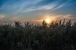 日出,天空,wildkreuter